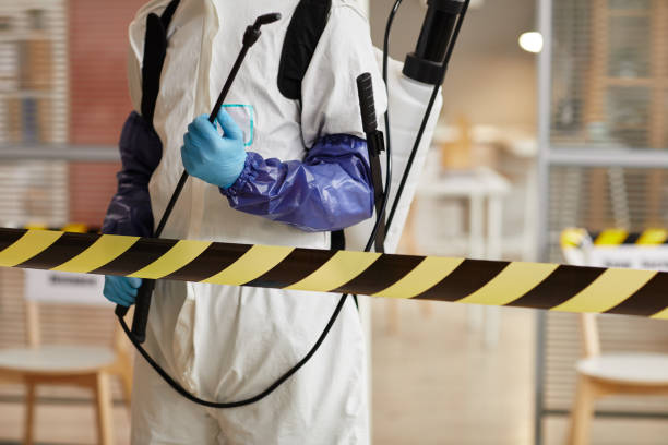 Professional Hoarding Cleanup technician working in Marble Falls, AR